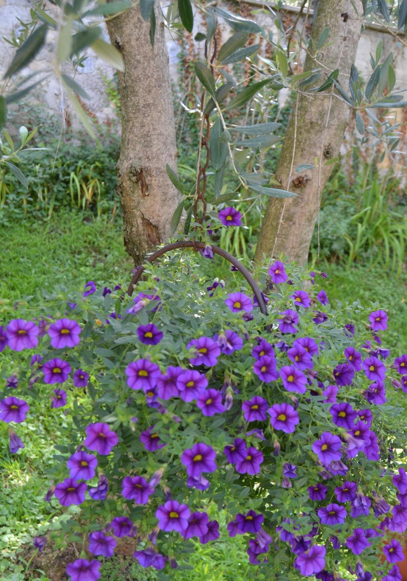 Appartamenti La Perla Malcesine Esterno foto