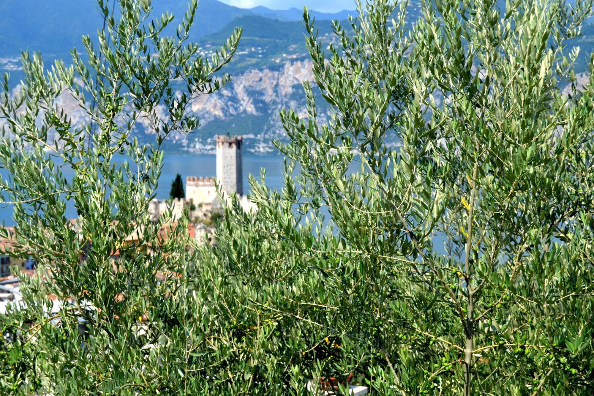 Appartamenti La Perla Malcesine Esterno foto